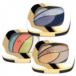 Тени для век L'Oreal Колор Риш квадро E4